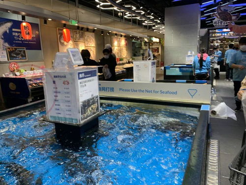 引領新零售陳列美學 盒馬鮮生日用百貨銷售布局深度解析