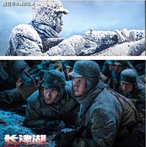 臨渭區行政審批服務局組織開展主題黨日暨愛國主義觀影活動